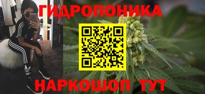 мдпв Мариинск
