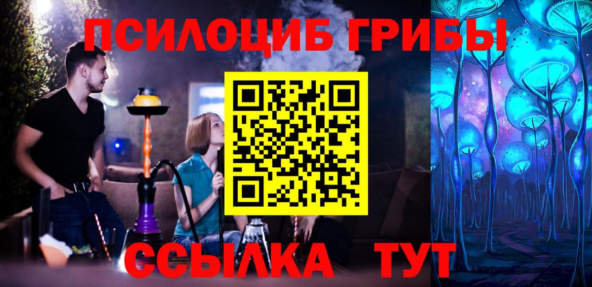 Псилоцибиновые грибы Cubensis  Вход с VPN  Галлюциногенные грибы мухоморы  Шадринск 